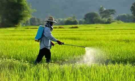 Pesticides.